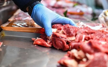 Kırmızı Et Sektöründe İstikrar İçin Yerli Üretim Önemli