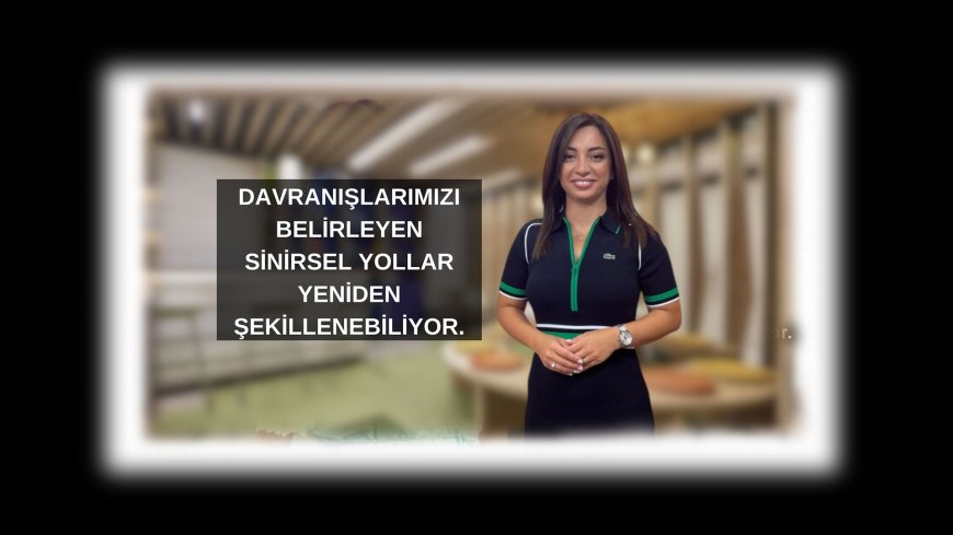 Beyin Değişir: Alışkanlıklarımız Sandığımız Kadar Sabit Değil
