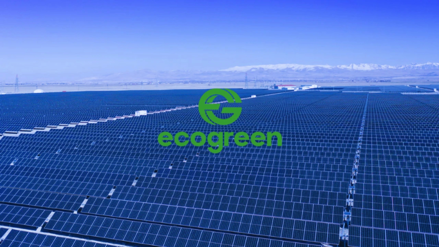 Ecogreen Enerji, bağlı ortaklıklarının kül halinde birleşmesini tamamladı