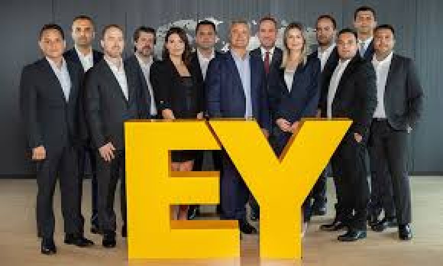 EY-Parthenon Türkiye’de ortaklık yapısına yeni isim