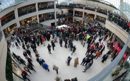 OMÜD Yönetimi Güven Tazeledi: Abdullah Arslan İkinci Kez Başkan Seçildi