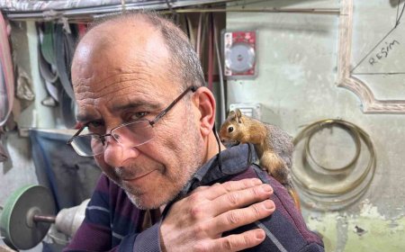 Ormanda Buldu, Hayatına Ortak Oldu: Ayvacık’ta Sıra Dışı Dostluk