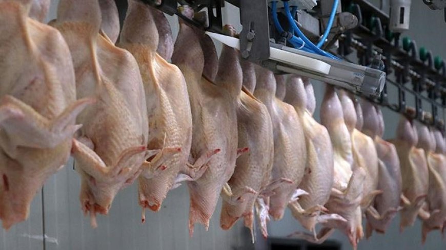 STD Başkanı Gökhan Erol’dan Kanatlı Eti İhracatı Kararına Uyarı: “Kazanılmış Pazarlar Risk Altında”