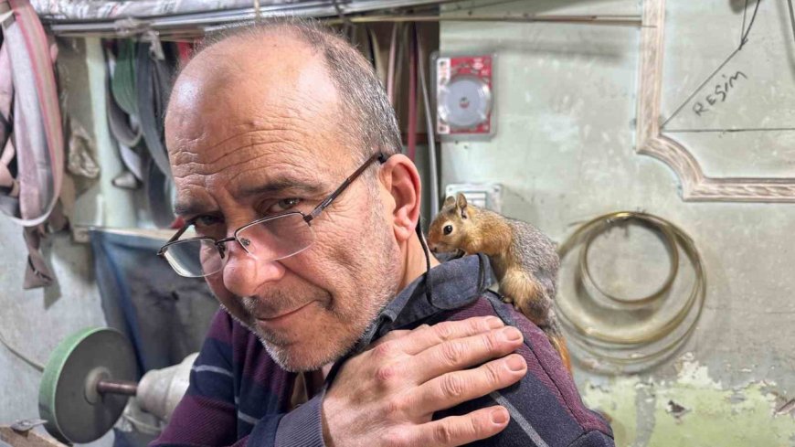 Ormanda Buldu, Hayatına Ortak Oldu: Ayvacık’ta Sıra Dışı Dostluk