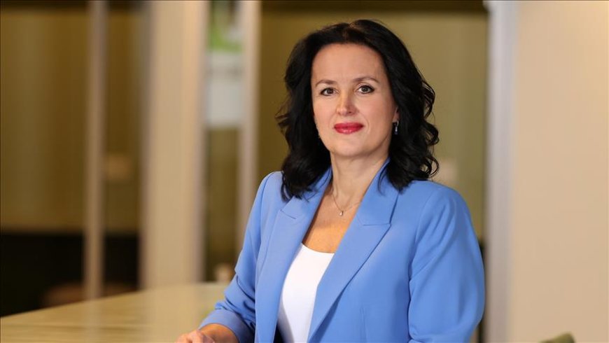 ON Dijital’den Kaskoda Karşılaştırmalı ve Şeffaf Dönem