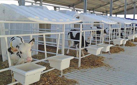 Karmod’dan Polonya’ya Buzağı Kulübesi İhracatı