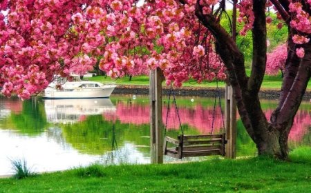 Bahar Geldi, Motivasyon Yükseldi: Yeni Bir Başlangıç İçin En Doğru Zaman!