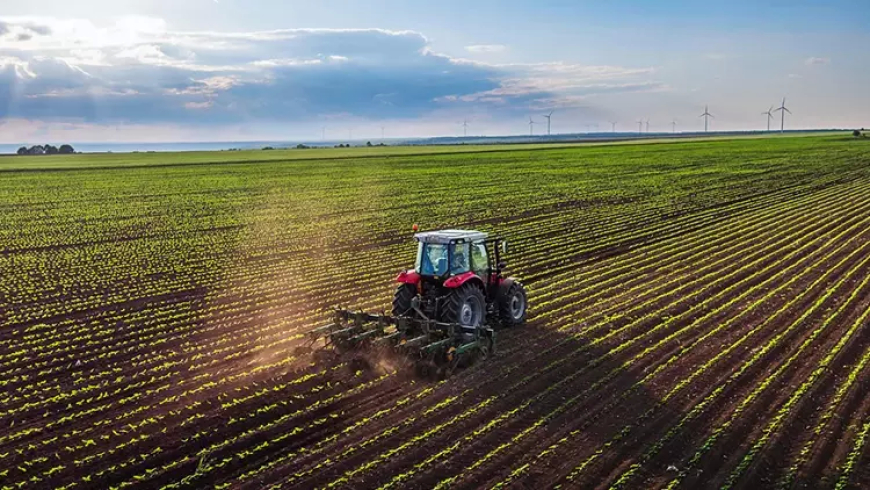 Dünya 2050’de Toprak Kriziyle Karşı Karşıya: Türkiye Potansiyel Elit Mi?