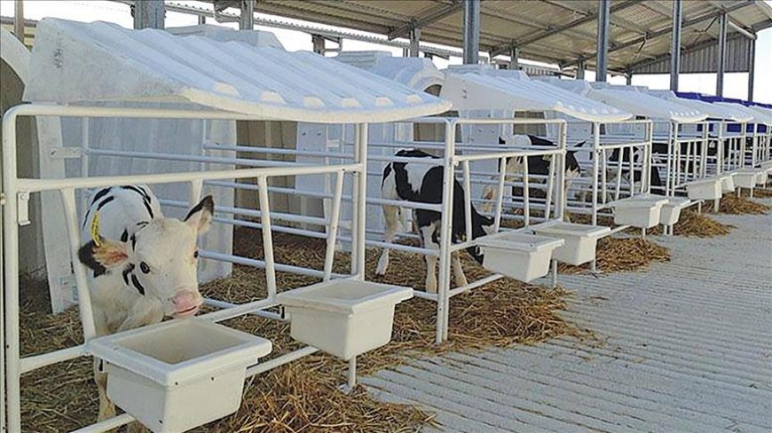 Karmod’dan Polonya’ya Buzağı Kulübesi İhracatı