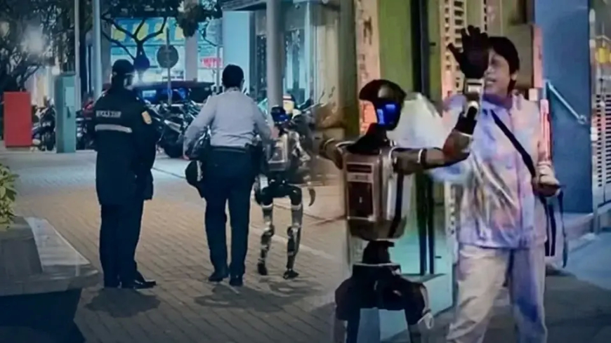 Çin'de  Sokak Robotu Paniğe Yol Açtı: 70 Yaşındaki Kadın Korktu, Polis Robotu Gözaltına Aldı