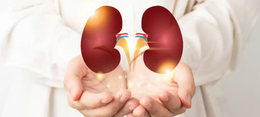 Diyabet ve Hipertansiyon Hastalarına “Düzenli Böbrek Kontrolü” Çağrısı