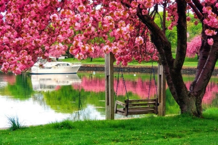 Bahar Geldi, Motivasyon Yükseldi: Yeni Bir Başlangıç İçin En Doğru Zaman!