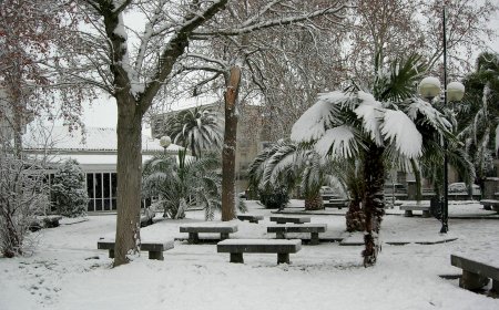 Meteoroloji Uyardı: Türkiye Genelinde Kar, Fırtına ve Don Alarmı