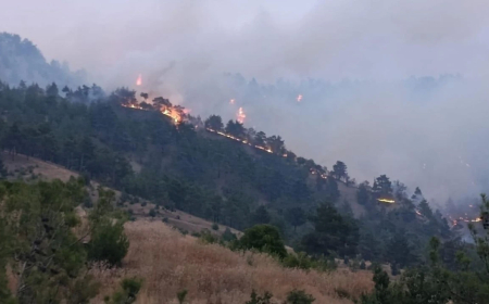 Sakarya ve Kahramanmaraş Alevler İçinde: 17 Yerleşim Yeri Boşaltıldı, Evler Yandı