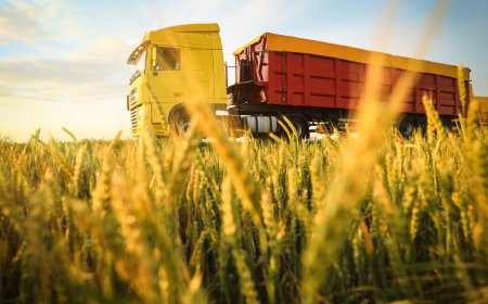 Tarım, Gıda ve İçecek Sektörü İlk 5 Ayda İhracatını Artırdı, İthalat Hızla Yükseldi