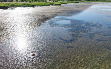 Türkiye’nin Tek Yerleşim Göl Adası Mada Adası Kuraklıktan Etkilendi
