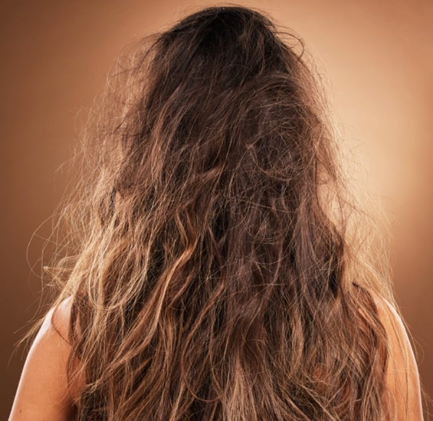 Saçlarınız Çalı Süpürgesine mi Döndü? Suçluyu Uzakta Aramayın!