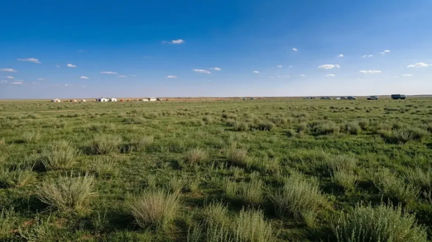Kumun Sessizliği Bozuldu: Suudi Arabistan Çöllerinde Yeşil Uyanış!