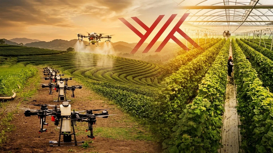 YÖK’ten Yeni Dönem Atılımı: Üniversitelerde "Akıllı Tarım" ve "Yapay Zeka" Programları Başlıyor!