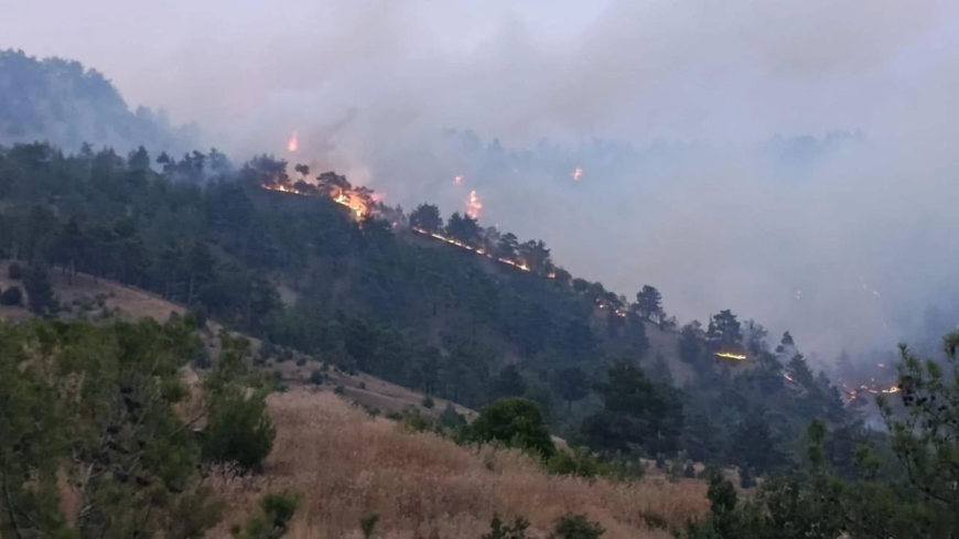 Sakarya ve Kahramanmaraş Alevler İçinde: 17 Yerleşim Yeri Boşaltıldı, Evler Yandı