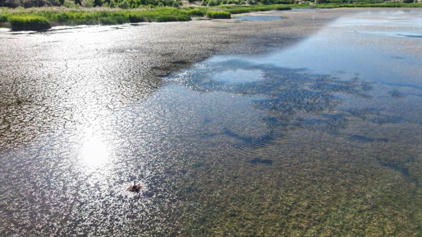Türkiye’nin Tek Yerleşim Göl Adası Mada Adası Kuraklıktan Etkilendi