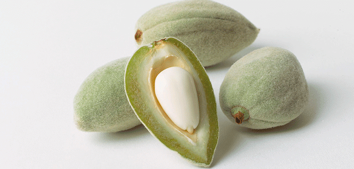 Baharın Yeşil Müjdecisi: Çağlanın Bilinmeyen 7 Mucizevi Faydası