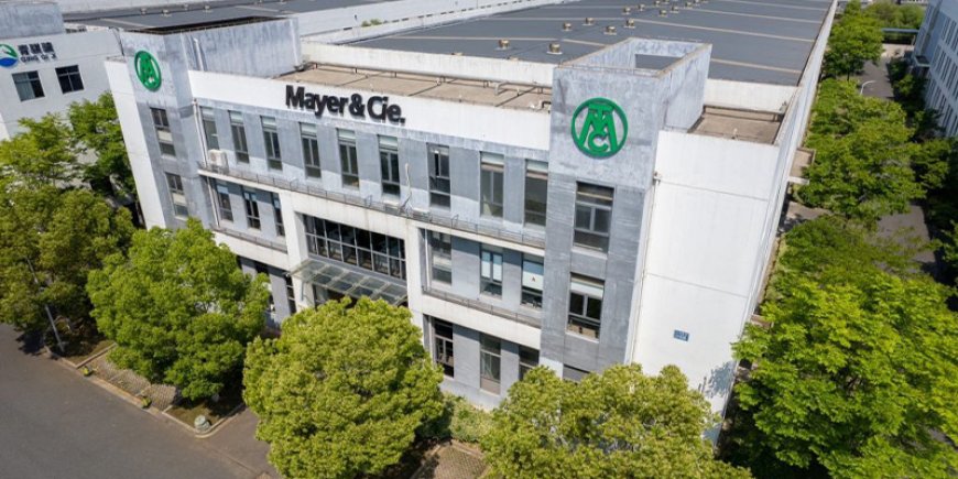 Asırlık Alman Tekstil Devine Çinli Kurtarıcı: Mayer & Cie. Resmen El Değiştirdi
