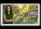 Su Biterse Para Ne İşe Yarar?