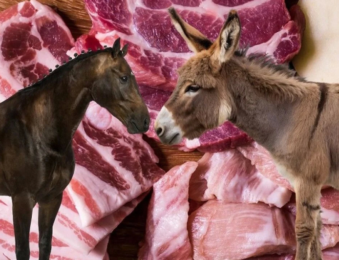 Bakanlık Yeni Listeyi Açıkladı: İki İlde At ve Eşek Eti Skandalı!