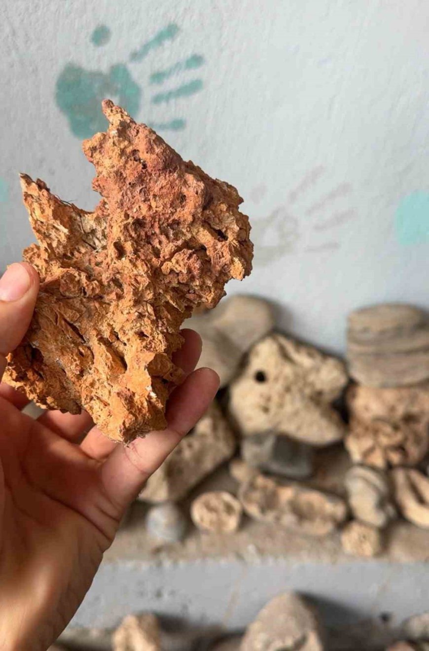 KÖYDEKİ EVİN BAHÇESİ TARİH MÜZESİNE DÖNDÜ